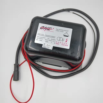BGY004-8/GS25P   Ignition Transformer 220V  110V  24V High Voltage Pack Made in China