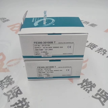 FE300-30100B F300-101000-15D Combustion Controller FE300 for TAIE STOCK 1000