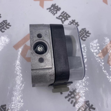 Original New GW10A5 GW10A6  German DUNGS Dongsi Pressure Switch 200 in Stock for Boiler Burner Industries