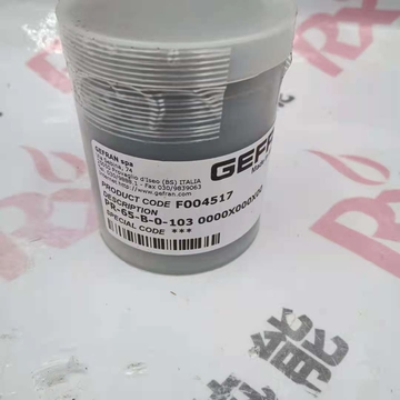 PR-65-B-0-103  the Order No.F004517  the Sensor High Temperature Melt Pressure Display for GEEFRAN