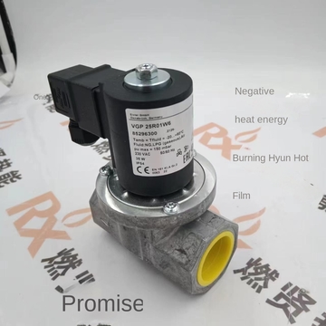German Kromschroder Gas Solenoid Valve VG25R02LT31D VG15R02NT31D VG2515R18NT31 VG40/32R02LT31D Original 1 Year Warranty