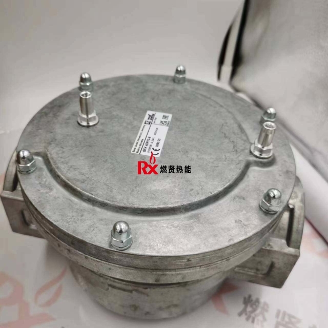 Germany Kromschroder Gas Filter GFK 40R10-6  GFK 32R10-6 GFK 25R10-6  GFK 80F10-6 1 Year Warranty Original Boiler Parts