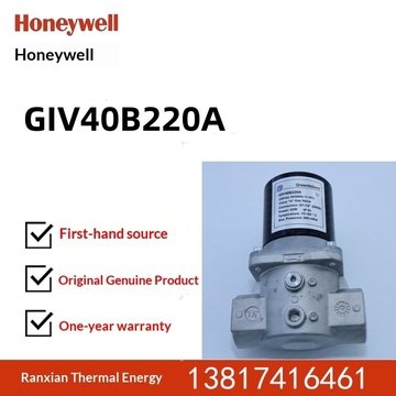Chinese Version GreenIsland Gas Solenoid Valve GIV20B220A  1 Year Warranty Original