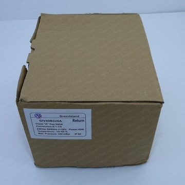 Chinese Version GreenIsland Gas Solenoid Valve GIV20B220A  1 Year Warranty Original