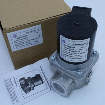 Chinese Version GreenIsland Gas Solenoid Valve GIV20B220A  1 Year Warranty Original