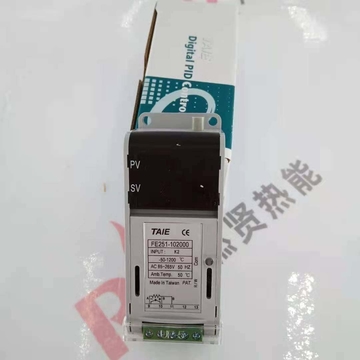 TAIE Temperature Control Meter Original FE251-70100B Models New 1 Year Warranty  China