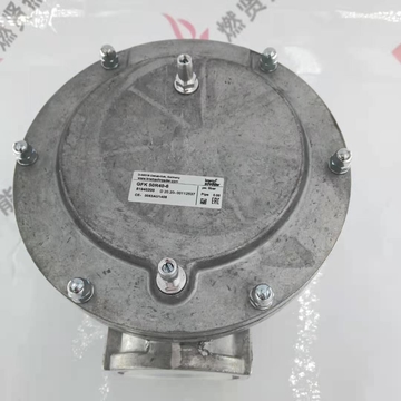 Germany Kromschroder Filter GFK50R40-6  GFK50R10-6  GFK65F10-6  Filter Element/Filter Cotton GFK25/32 1 Year Warranty Original