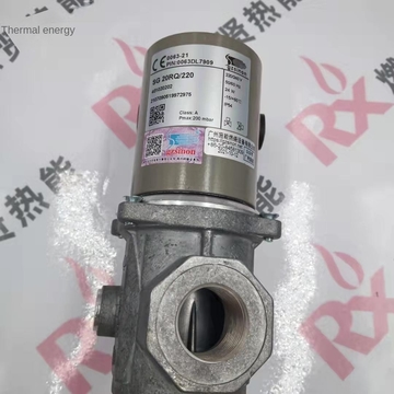 gzsinon SG80FQ/220  Gas Solenoid Valve SG20RQ/220V SG25RQ/220 1 Year Warranty Package 1