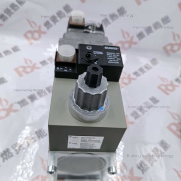 Germany DUNGS Winter Gas Combination Valve MB-DLE415B01S20 Spot 226799 Package 4