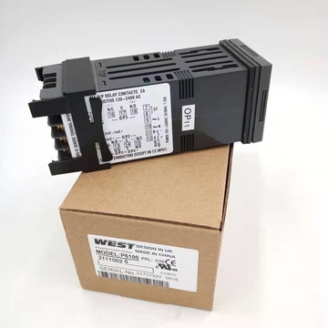 British West6100+ Series Process Controller P6100 Series 21110020 P6700 6170+ Made in China