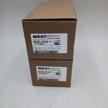 British West6100+ Series Process Controller P6100 Series 21110020 P6700 6170+ Made in China