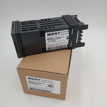 British West6100+ Series Process Controller P6100 Series 21110020 P6700 6170+ Made in China