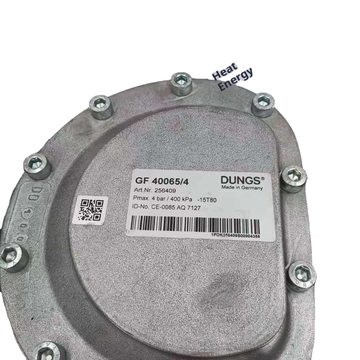 German  DUNGS Gas Filter GF40065/4 Original Cast Iron 1 Year Warranty in STOCK Moq 1