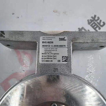 Hocod Krom Original Brand New BVG65Z05 Butterfly Valve in Stock Bvg150Z05 Bvg50Z05 for Boiler Parts