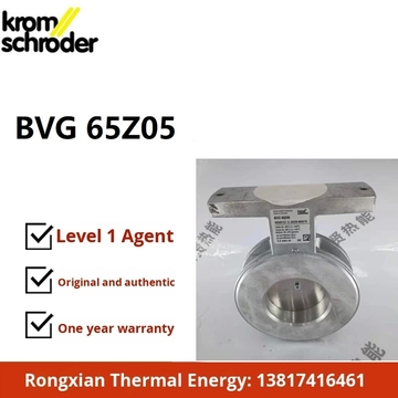Hocod Krom Original Brand New BVG65Z05 Butterfly Valve in Stock Bvg150Z05 Bvg50Z05 for Boiler Parts