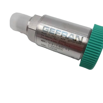 TK-N-1-E-B05C-H-V   the Sensor High Temperature Melt Pressure Display for GEEFRAN STOCK 200