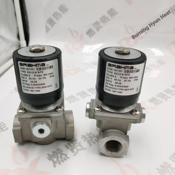 Italy BRAHMA Panama Solenoid Valve EG12 * A * AFD New Condition for Boiler and Restaurant Use in Stock