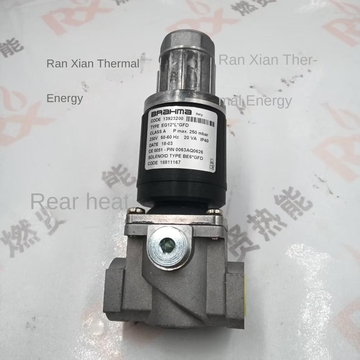 Italian Brahma Panama EG12*AR*AFD EG12*L*GFD Gas Solenoid Valves Gas Ignition Valves Boiler Solenoid Valves