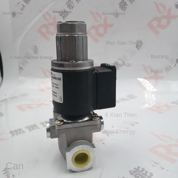 Italian Brahma Panama EG12*AR*AFD EG12*L*GFD Gas Solenoid Valves Gas Ignition Valves Boiler Solenoid Valves