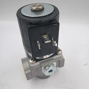 Italian Brahma Panama EG12*AR*AFD EG12*L*GFD Gas Solenoid Valves Gas Ignition Valves Boiler Solenoid Valves