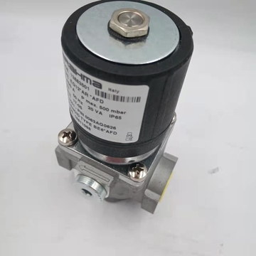 Italian Brahma Panama EG12*AR*AFD EG12*L*GFD Gas Solenoid Valves Gas Ignition Valves Boiler Solenoid Valves