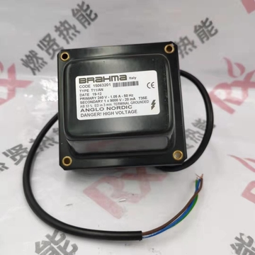 T11/AN   Ignition Transformer, High Voltage Pack for BRAHMA Spot 200