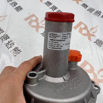 PIETRO FIORENTINI FMF30162  Gas Regulating Valve Reducing Valve  Stock