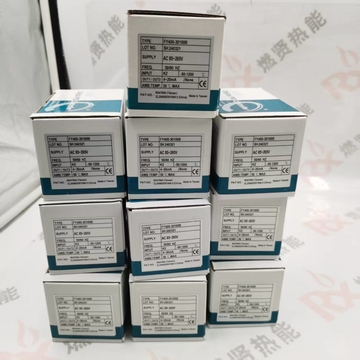 Taiwan TAIE FY400-30100B  Table Temperature Control Meter New Original 200 in Stock Electrical Equipment