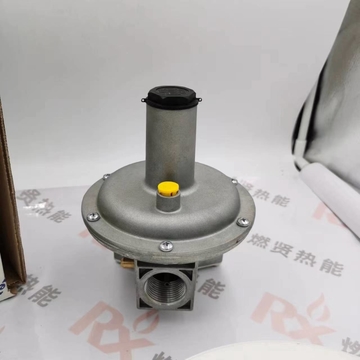 Giuliani FG1B25 Gas Regulating Valve Reducing Valve  Spot 20