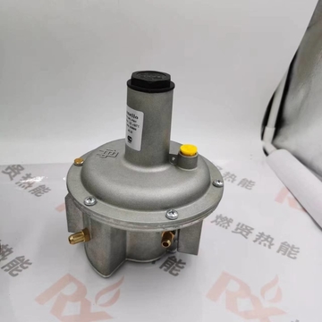 Giuliani FG1B25 Gas Regulating Valve Reducing Valve  Spot 20