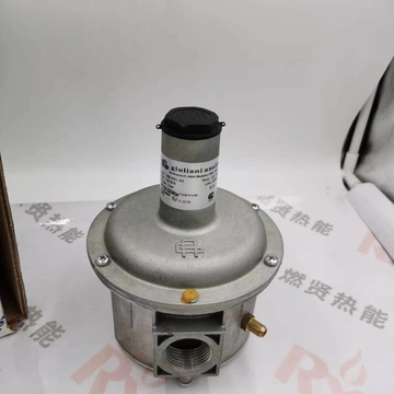 Giuliani FG1B25 Gas Regulating Valve Reducing Valve  Spot 20