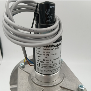 Shang Hai Ran Xian EVRMNC6AF Solenoid Valve for Elektrogas Spot 20